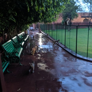 IMG_20190708_053212.jpg